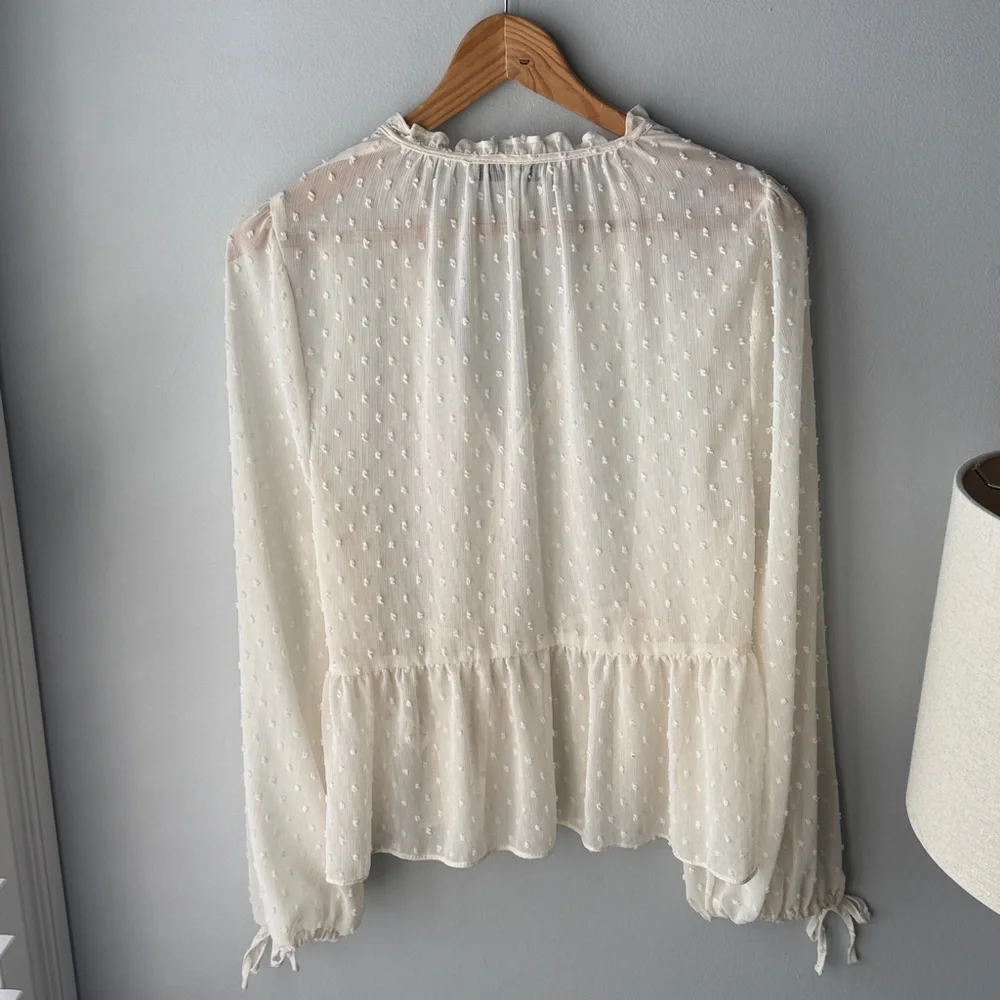 Zara Swiss Dot Sheer Button Down Blouse - Picture 10 of 11